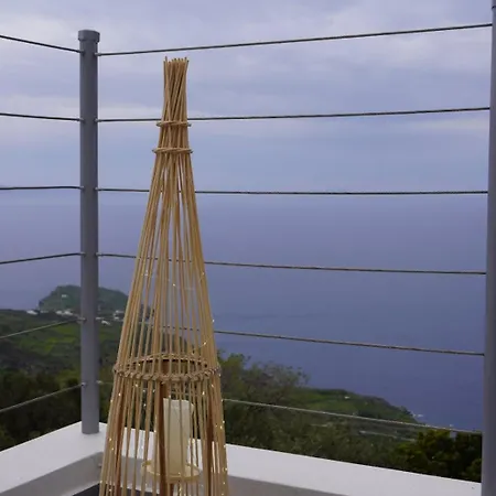 Bamboo * Aprovaton